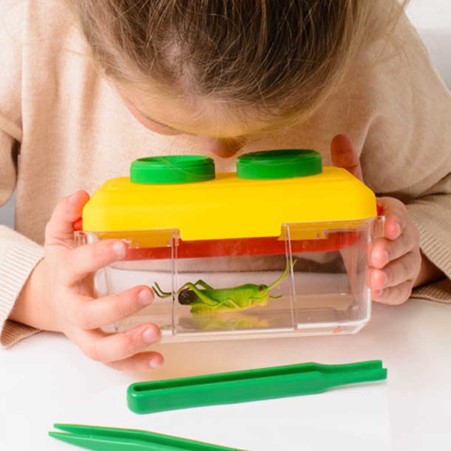 Bug and Plant Investigation Pack - Image 4