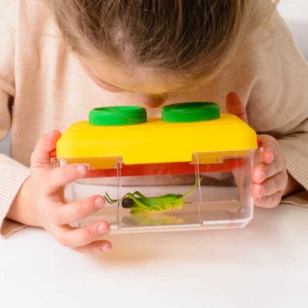 Nature Detective Set - Image 2