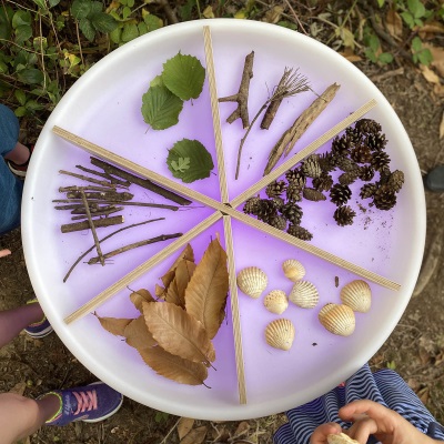 sensory mood discovery wooden dividers