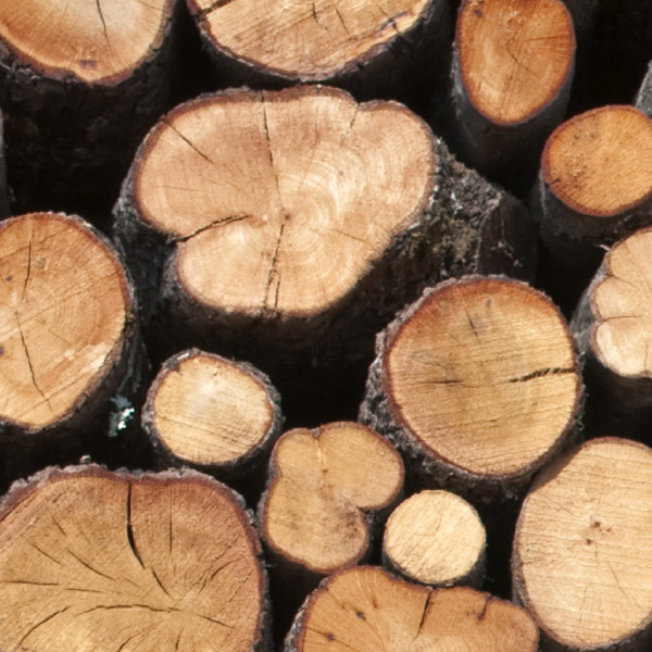 Nature Play Mat Logs 1x1.5m - Image 2