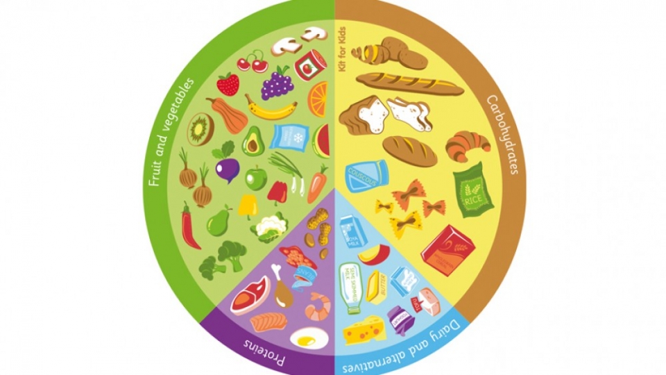 Nutrition Carpet - Image 2