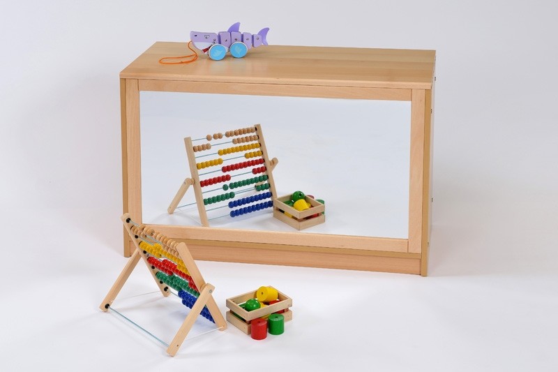 Room Scene Bookcase with Mirror Back reverse