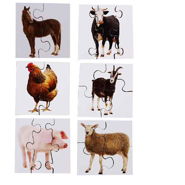 Real Life First Puzzles - Set of 24 - Image 2