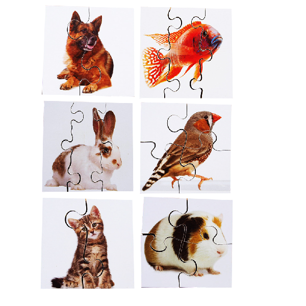 Real Life First Puzzles - Set of 24 - Image 3