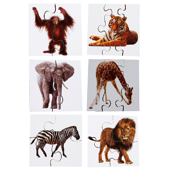 Real Life First Puzzles - Set of 24 - Image 5
