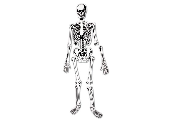 Skeleton Foam Floor Puzzle - Image 2