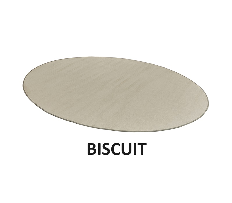 Neutral Oval Classroom Carpet - Image 4