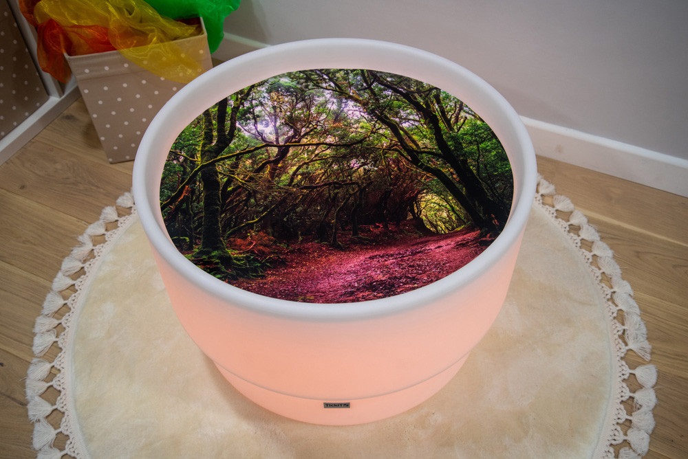 Sensory Mood Discovery Table with Jurassic Bundle - Image 7
