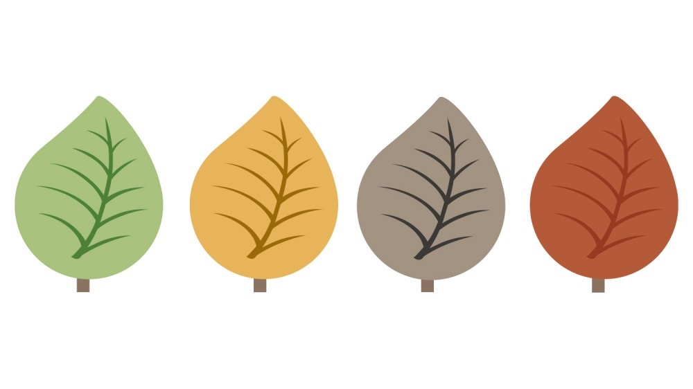 Seasonal Leaf Cushions - Image 5