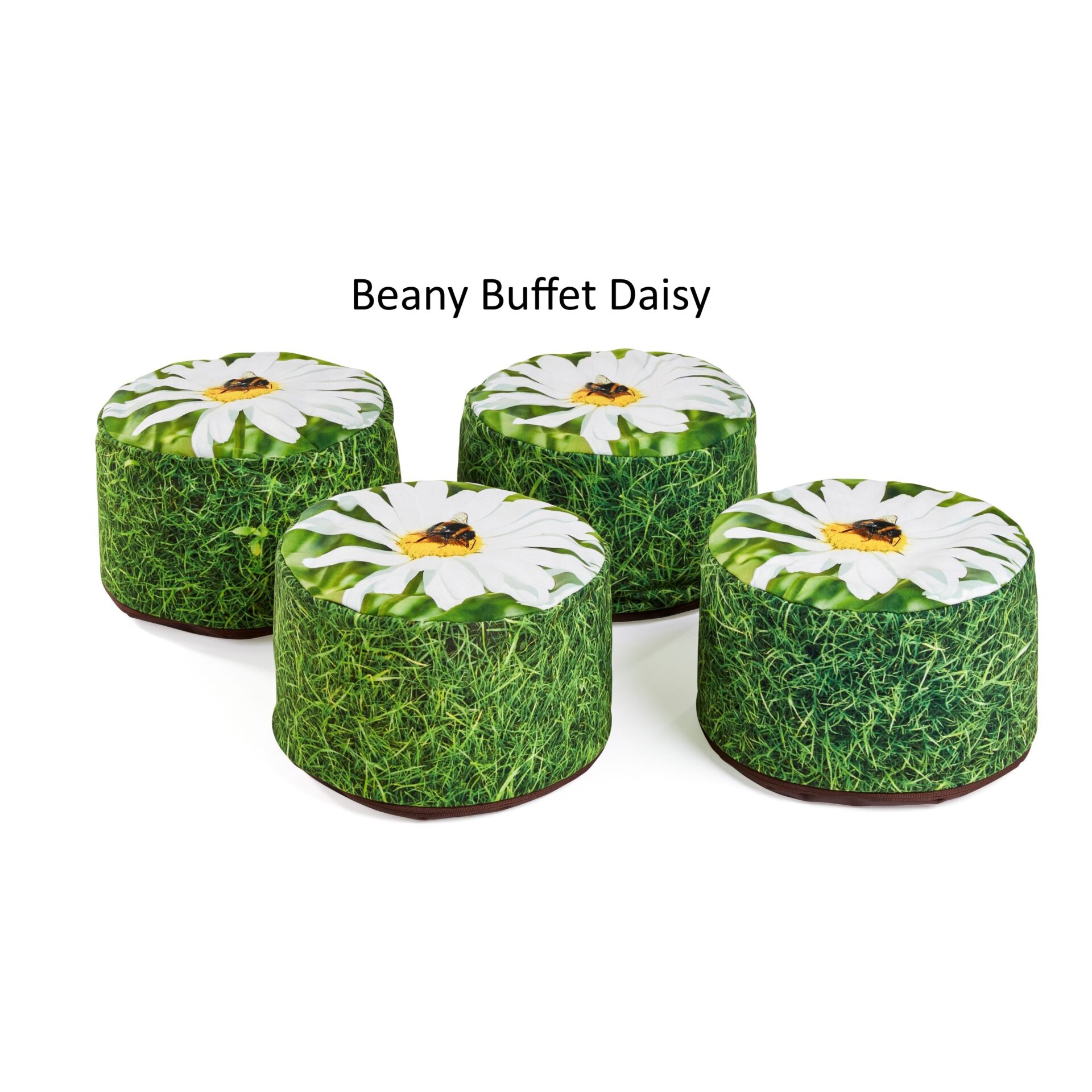 Beany Buffets Nature Daisy