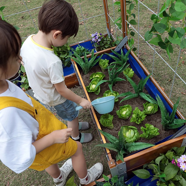 Little Garden Discovery Zone - Image 7