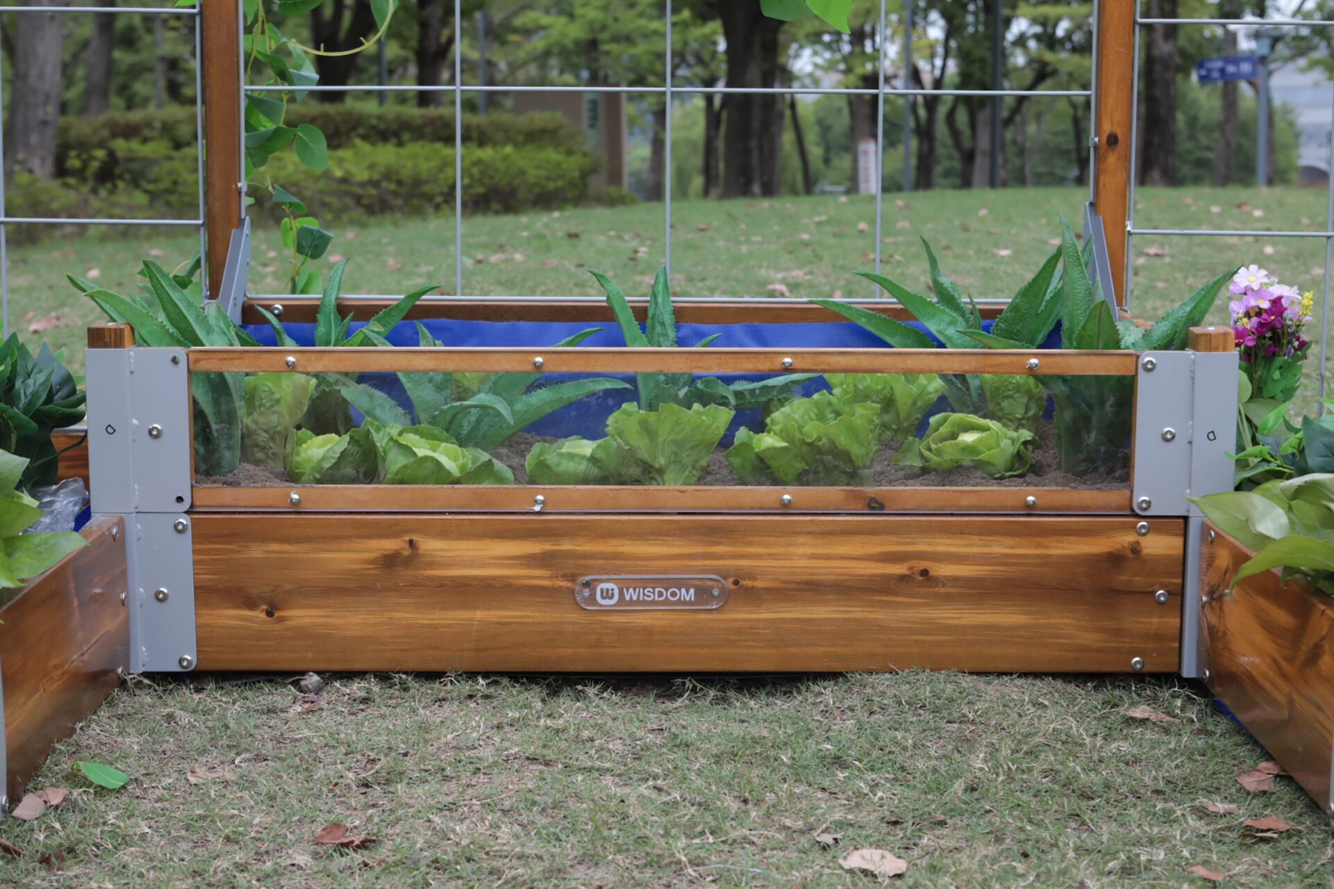 Little Garden Discovery Zone - Image 5