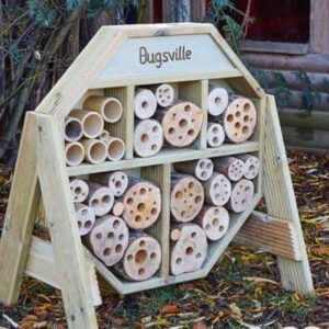 bugsville hive for insects