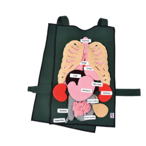 Adult Organ Tabard