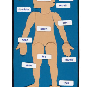My Body Wallchart English