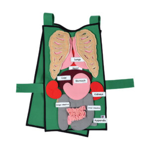 Organ Tunic Tabard