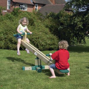 Forest Seesaw Roundabout