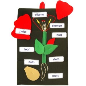 Plant in a pocket wall hanging for schools