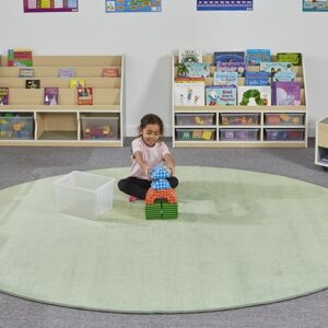 Neutral Oval Classroom Carpet